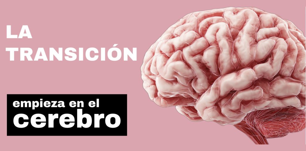 El cerebro en transición: qué dice la ciencia sobre los cambios cerebrales que se producen en la menopausia